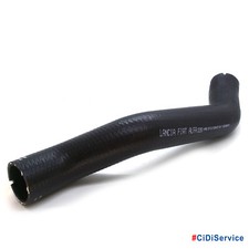 51709470 Original Lower
