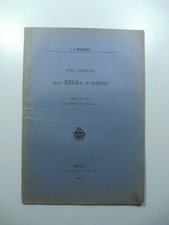 Michelangeli, Note critiche
