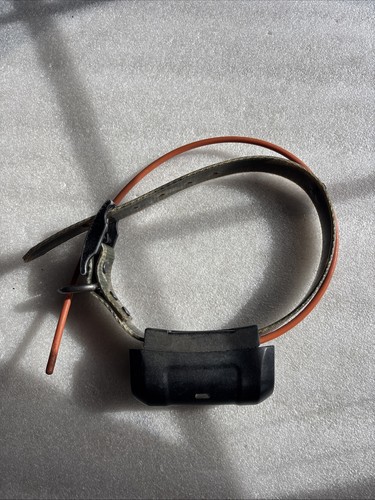 Garmin dc40 gps collare - collare, di