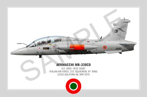 Aermacchi 339cd squadron - aermacchi,