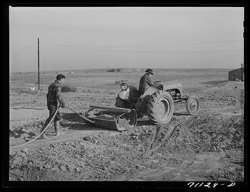 Canyon county idaho - idaho, mr