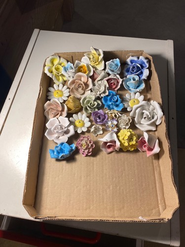 Eee lotto fiori in - lotto,