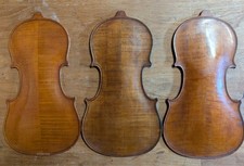 3 dorsi campione di violino