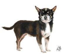 ✤ Dipinto ORIGINALE ritratto