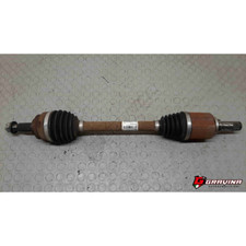 391019563R SEMIASSE SEMIALBERO