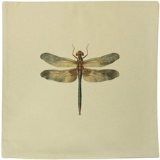 40cm x 40cm 'Open Winged