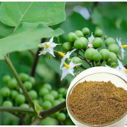 100 pure organic natural - pure,