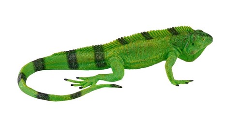 Mojo 381095 iguana cm - mojo,