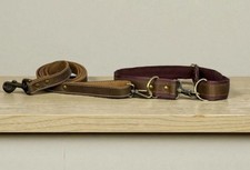 Set cintura guinzaglio cane