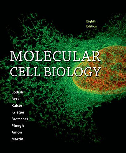 Molecular cell biology by - cell,