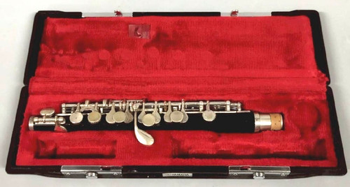 Strumento musicale fiato - musicale, a
