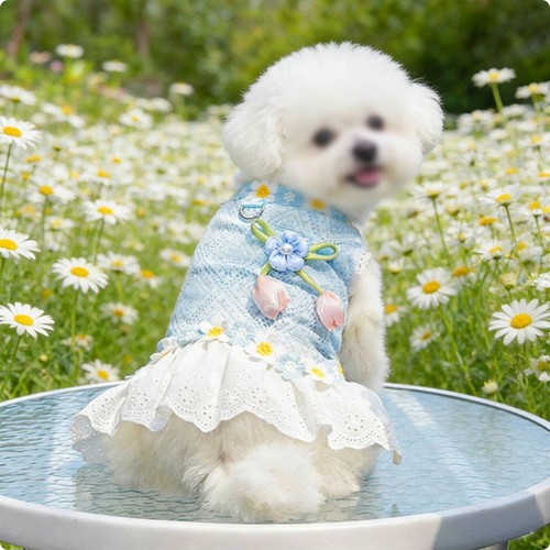 Vestitino per cani - vestitino, pizzo