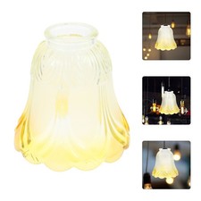  Copri Lampada Soffitto