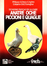 100 norme pratiche per