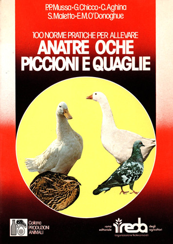 100 norme pratiche per