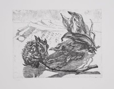 CECCHI WALTER ACQUAFORTE DATATA 1975 FIRMATA E NUMERATA