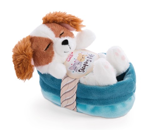 Nici cane con cuccia - con, 12