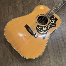 Suzuki W-25 Japan Chitarra