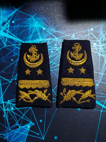 Militaria mostrine fregio - militaria, e