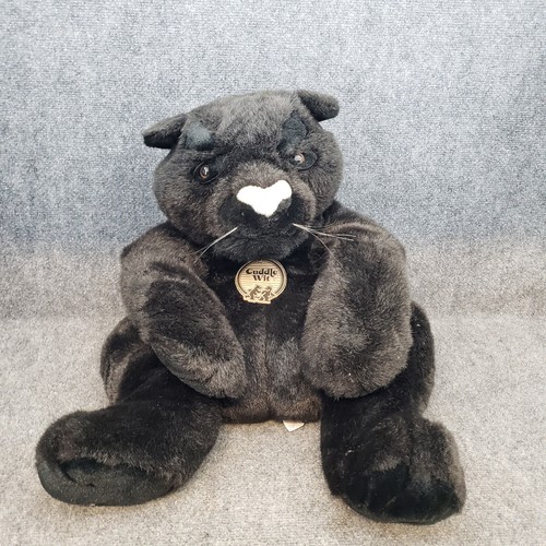 Cuddle wit black cat - cuddle,