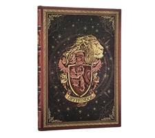 DIARIO pagina a righe