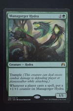 Magic The Gathering MTG