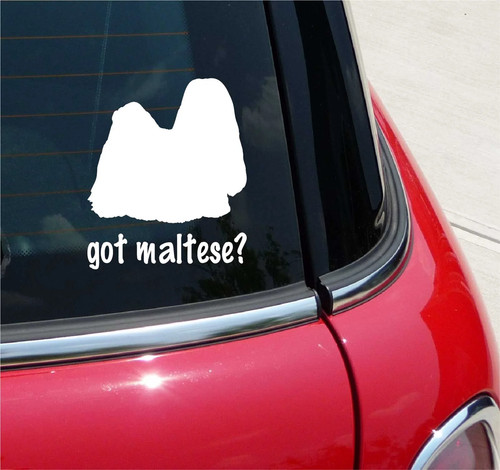 Got maltese adesivo - maltese?,
