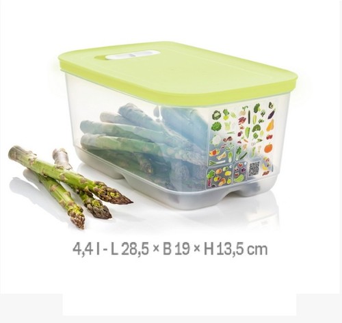 Tupperware klima oase l - 4,4,