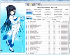 Hard Disk 80 GB IDE 3.5"