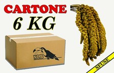 Spighe di panico 6 kg Sfuse pappagalli, Cocorite, Ondulati, Esotici