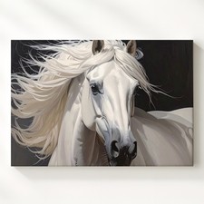 Ritratto cavallo bianco