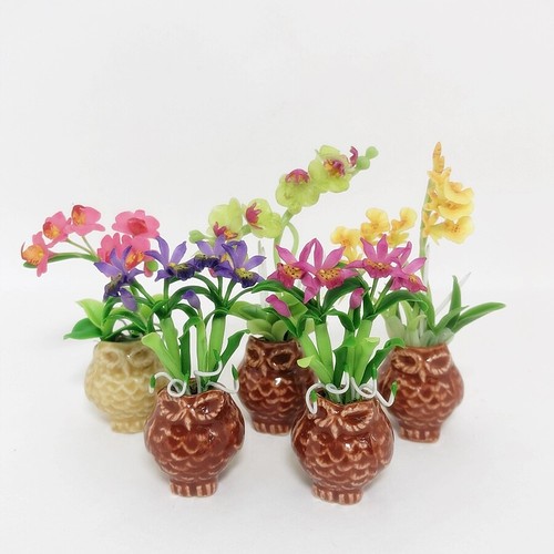 Set diverse piante - diverse, fiori