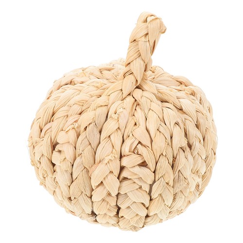 Zucche halloween zucca - ,