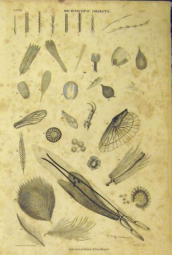 Vecchia stampa antica