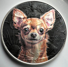 Moneta dollaro argento