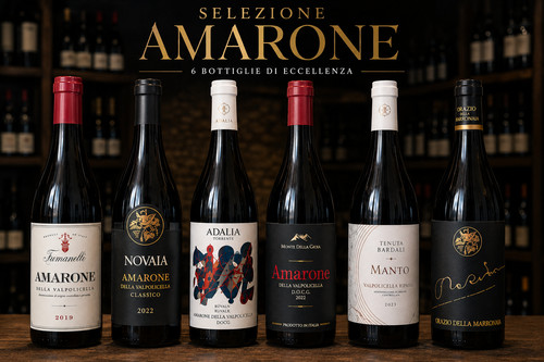 Selezione vini pregiati - selezione,