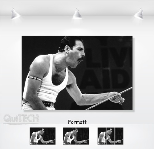 Freddie mercury quadro - mercury,