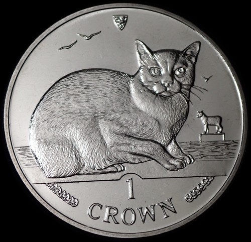 Moneta gatto birmano isola - moneta,