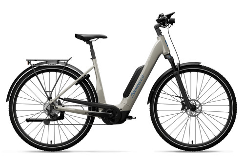 Advanced trekking plus - 29",