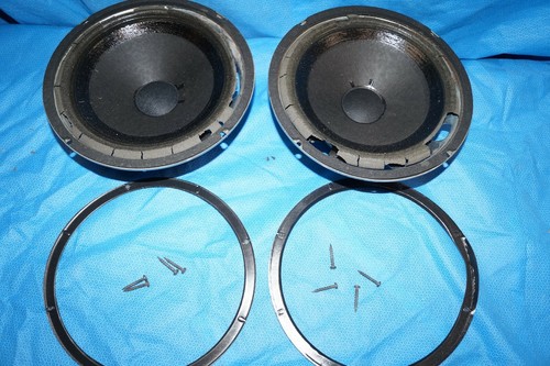 Woofer scott 10 - 2, h