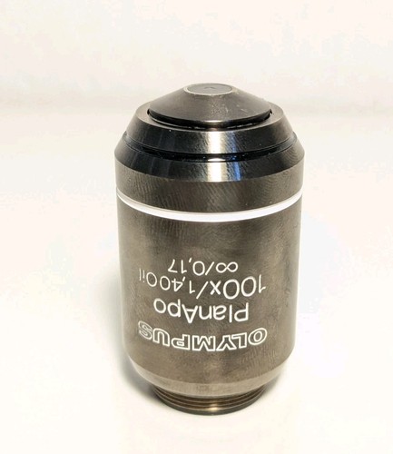 Planapo 100x oil - 100x/1,40,