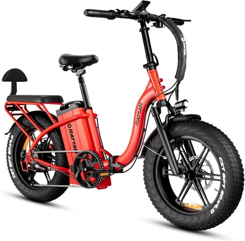 Bicicletta elettrica rattan - bicicletta,