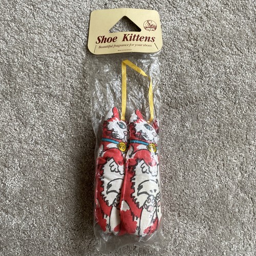 Kitty little shoe kittens - shoe,