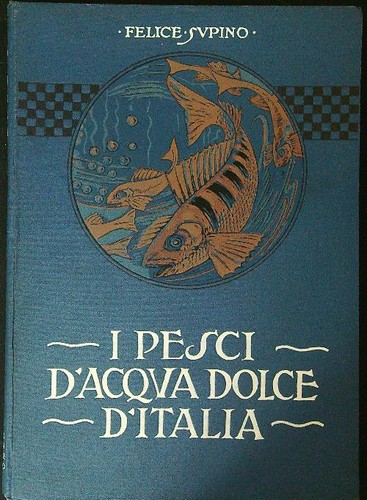 Pesci acqua dolce in - d'acqua,