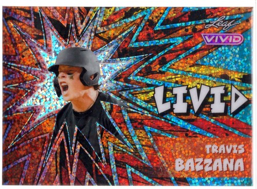 Custodia travis bazzana - custodia,