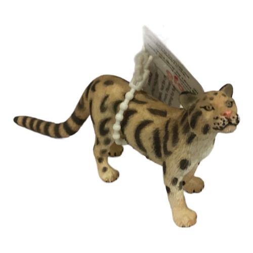 Animali animals wild life - animals, mojo