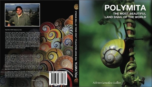Polymita unghia di terra - polymita,,