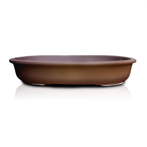 Vaso per bonsai - , ovale