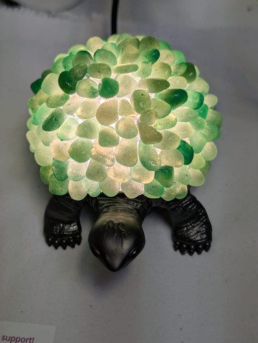 Tartaruga avventurina