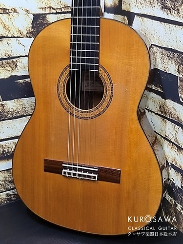 Antonio duran flamenco - antonio,